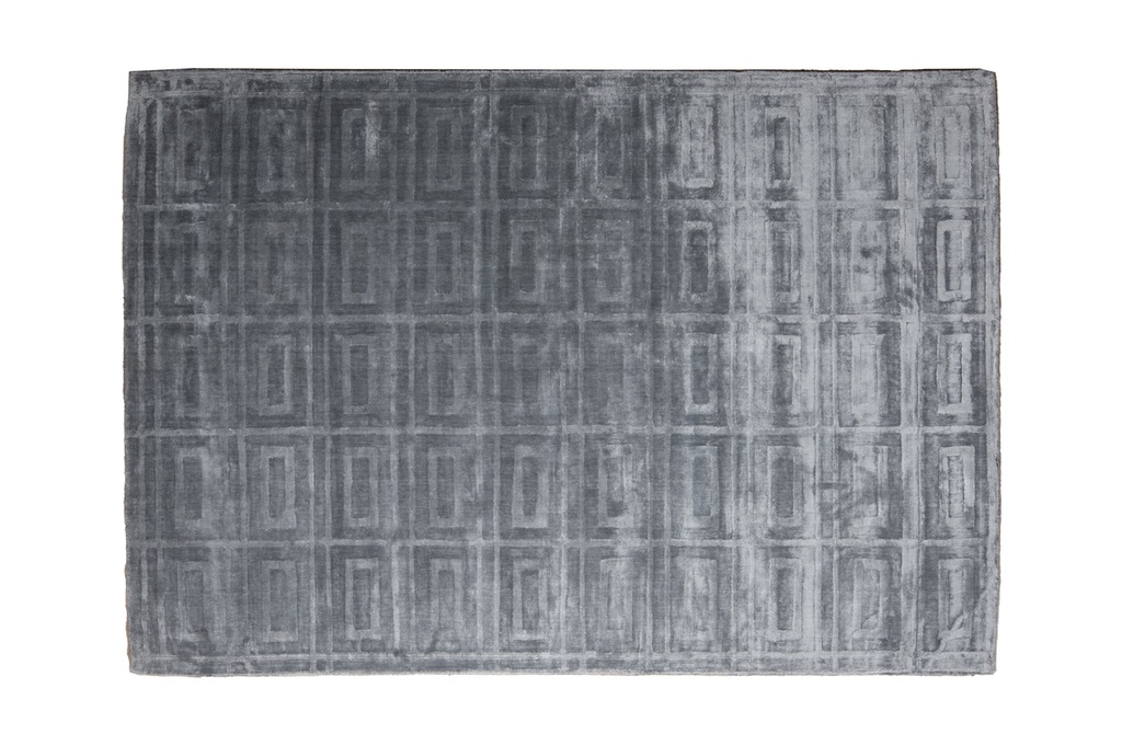 RAIPUR D3006 GRIS 160*230 TAPETE - LN26    