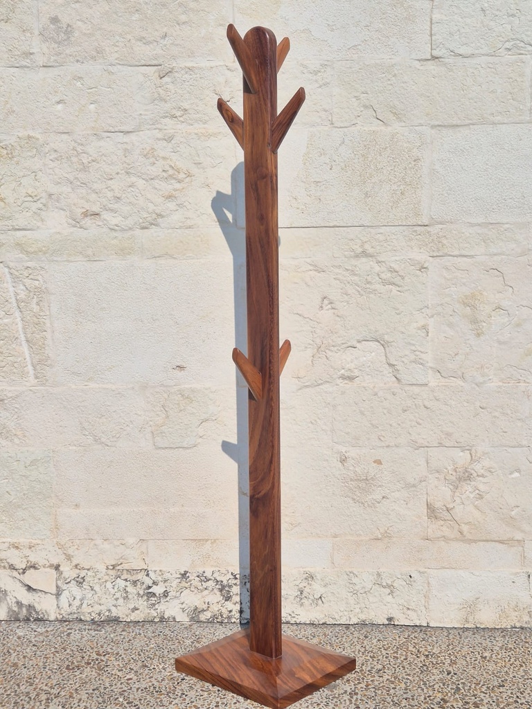 CACTUS PERCHERO PAROTA ALTO - RR