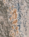 BESNI  T4053 GRIS ORO 160*230 TAPETE - LN