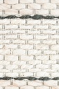 JAYA N8036 BLANCO NATURAL BEIGE 160*230 TAPETE - LN