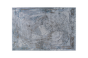 DARICA T2131 PLATA 160*230 TAPETE - LN26b  - Quedan pocos