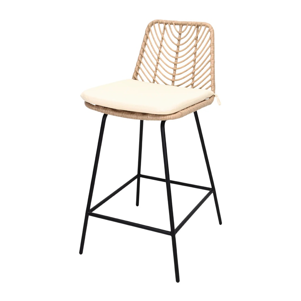 GUYANA BANCO COUNTER PARA EXTERIOR (BARBADOS) - JM25