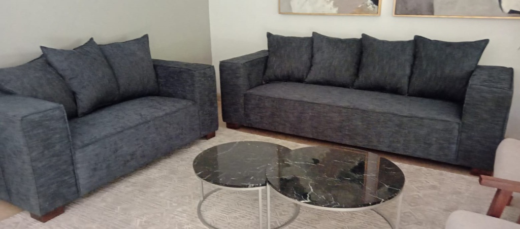 TEMOZON SOFA y LOVE SEAT - P2024/3 *50% piezas únicas disponibles en tienda