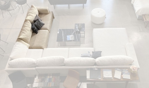 [BERL3] BEGONIA LOVE 1 BRAZO - EC25