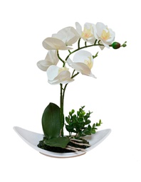[PL-LEIF-BC] FIEL ORQUIDEA Flor Artificial Blanco - AE