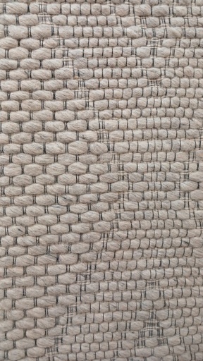 [11667] JAYA N8034 PLATA 200*290 TAPETE - LN26 - consultar disponibilidad quedan pocos