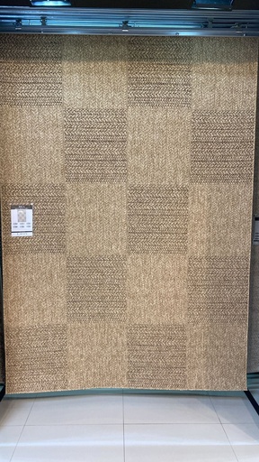 [13574] BIGA R3003 BEIGE CAFÉ 160*230 TAPETE PARA EXTERIOR - LN26