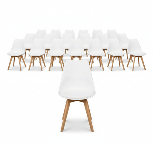 CATARINA SET 20 SILLAS - M25 **Promo especial feb 2026